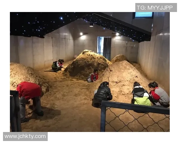 媒体人：小杨已深刻领悟在NBA要先发制人 自信勇敢多动脑